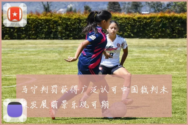 马宁判罚获得广泛认可中国裁判未来发展前景乐观可期