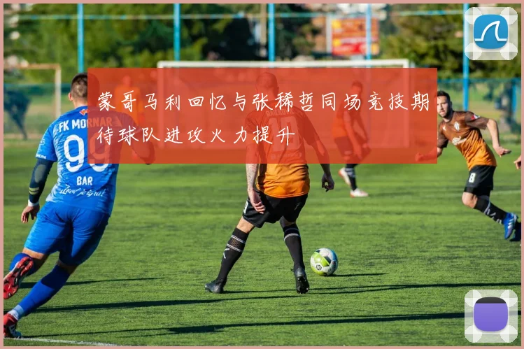 蒙哥马利回忆与张稀哲同场竞技期待球队进攻火力提升
